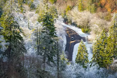 snow in the smokies on newfound gap road