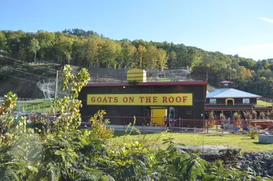 goats on the roof mountain coaster