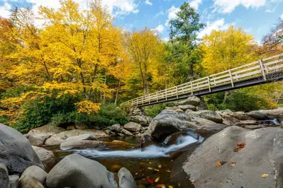 trail to chimney tops in the fall