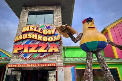Mellow Mushroom PF