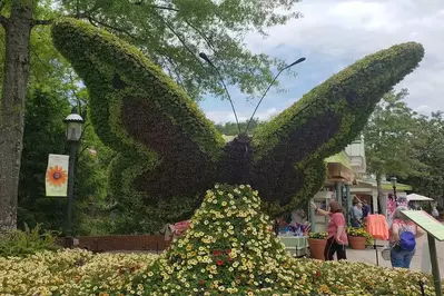 flower and food fest