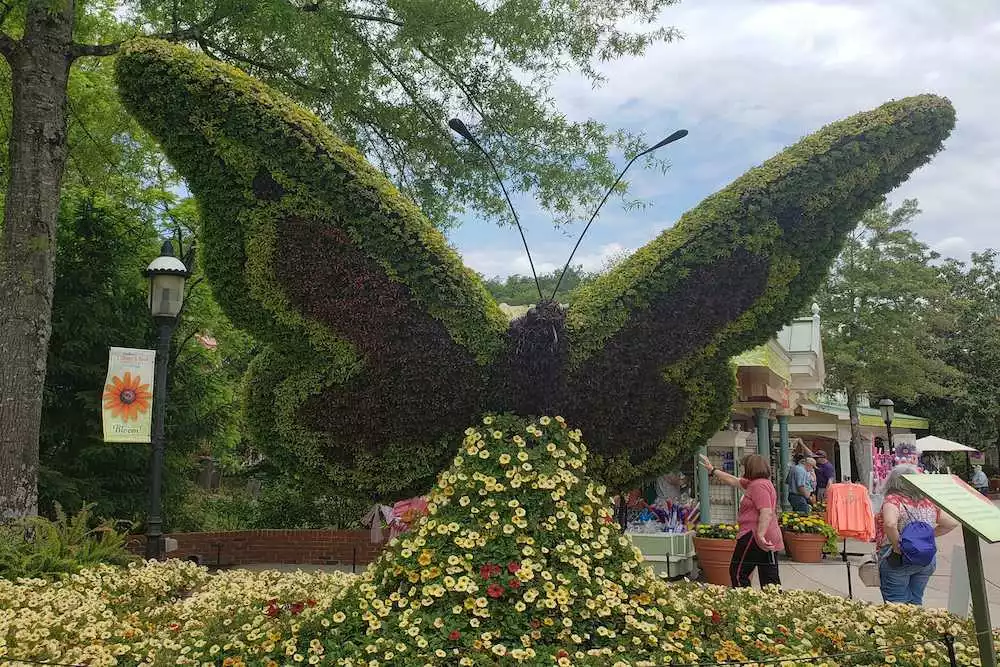 flower and food fest
