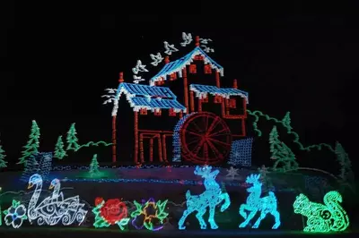 christmas lights