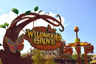 wildwood grove dollywood