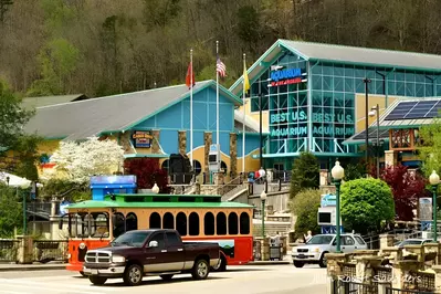 Ripley's Aquarium of the Smokies