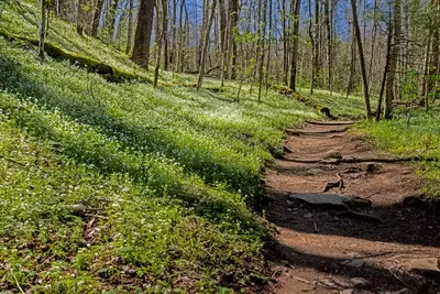 porters creek trail