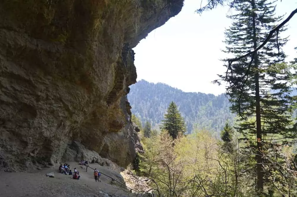 Top 10 hikes smoky mountains hotsell