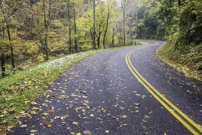 little river road scenic drive in the Smoky Mountains