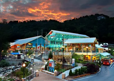 ripley's aquarium of the smokies