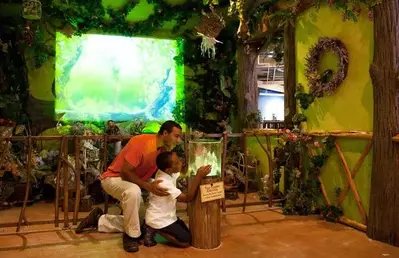 kid and father in museum