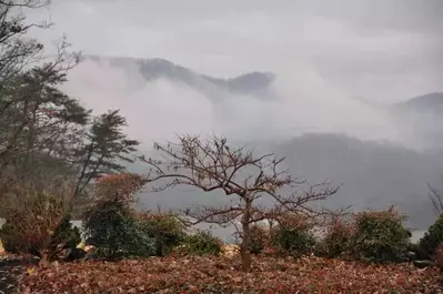 smoky mountains winter
