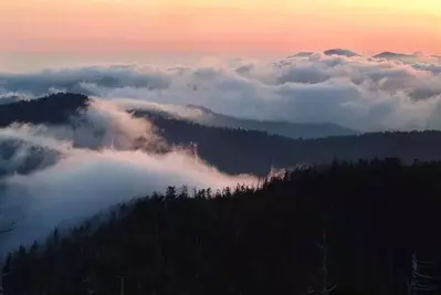 smoky mountains fog