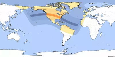 map of the world