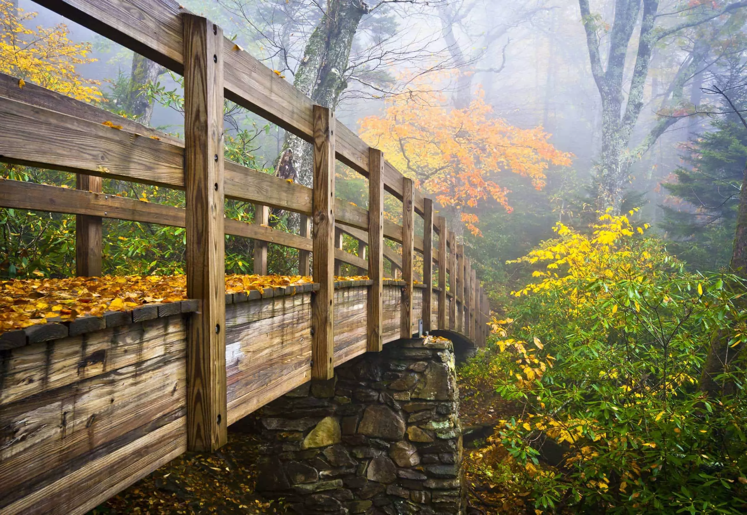 footbridge in the smoky mountains