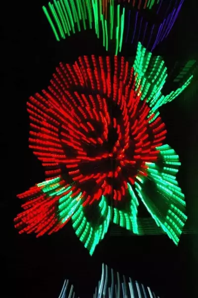 rose winter lights
