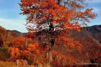 jrsOctober222012 219