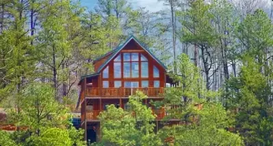cabin in the woods with large windows