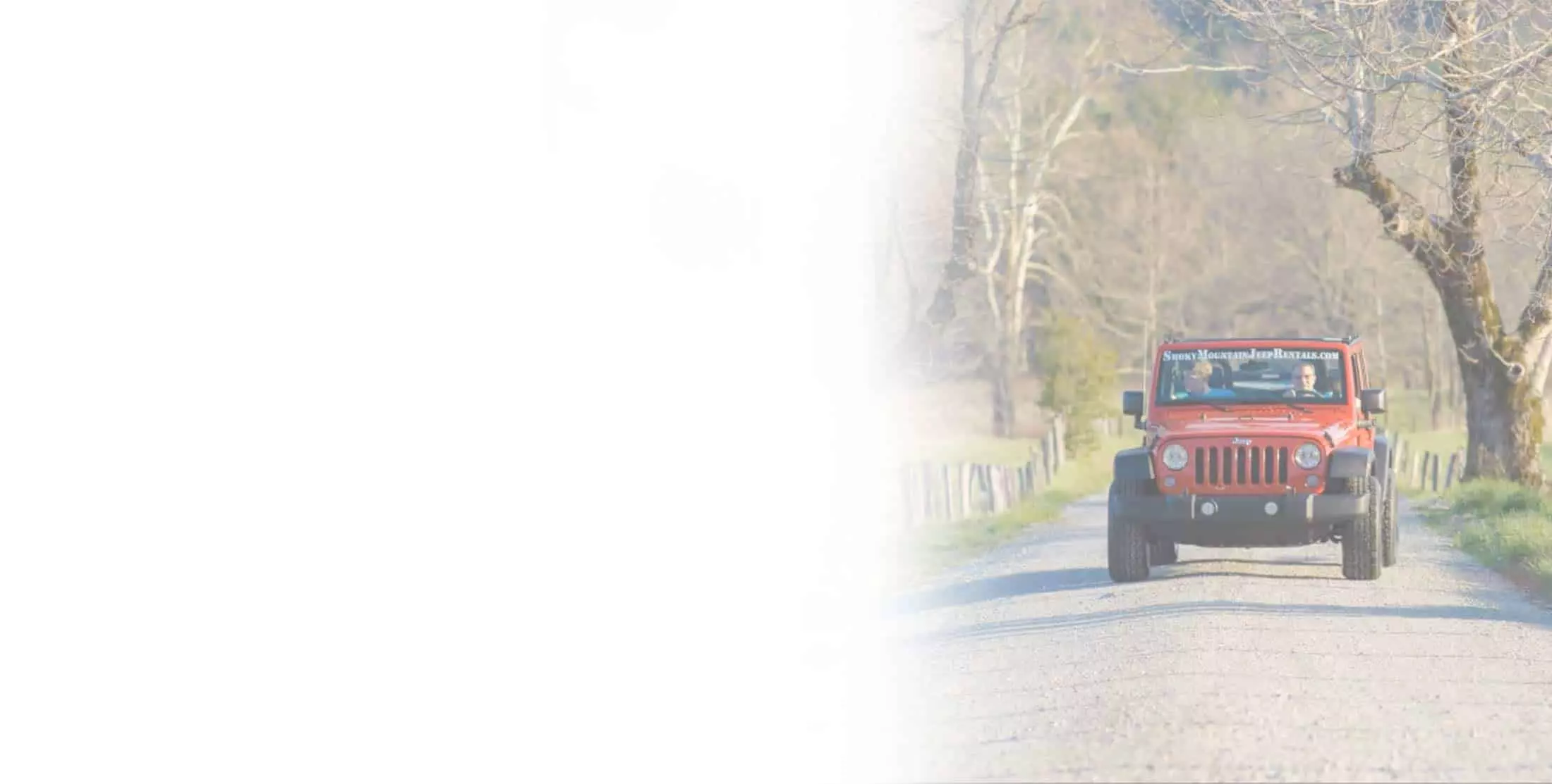jeep in Cades Cove