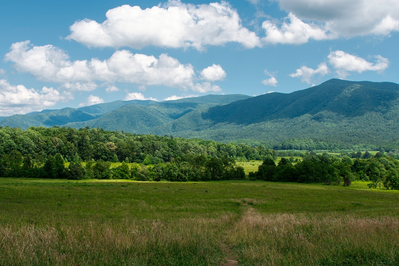 mountain view in summer