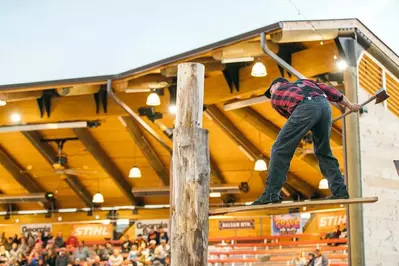 lumberjack up high show 