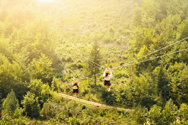 zipline