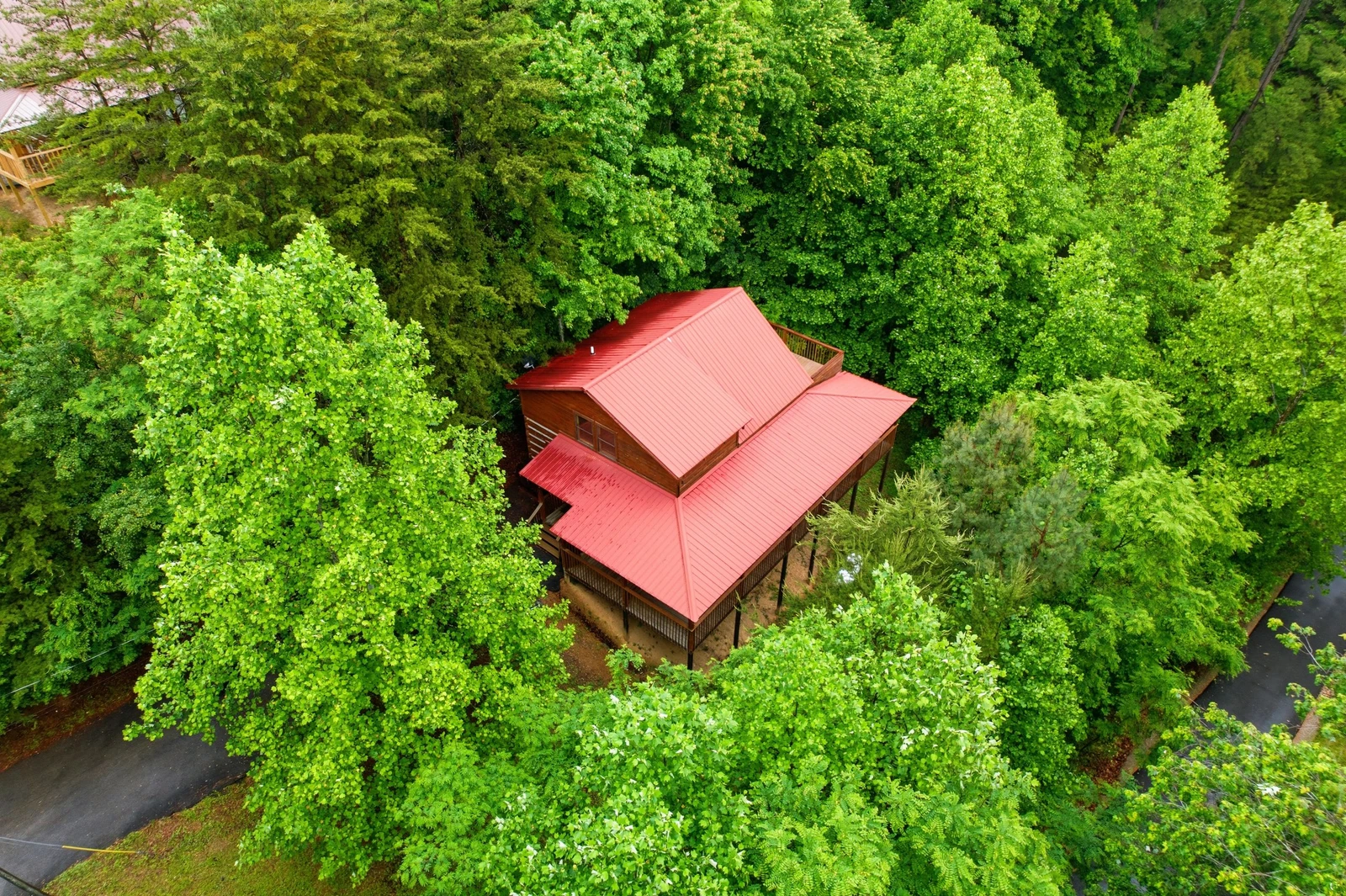 Black Bear Hideaway
