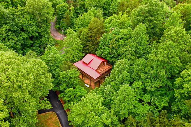 Black Bear Hideaway