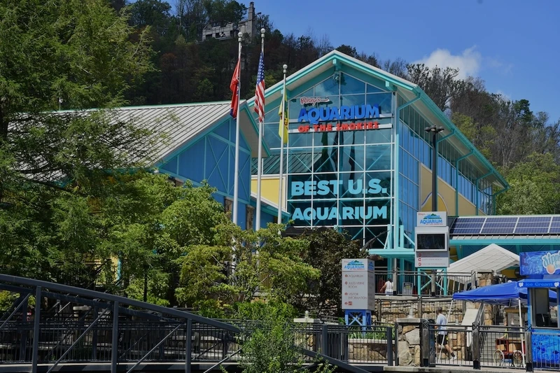 Get free Gatlinburg attractions tickets to Ripley's Aquarium