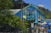 Get free Gatlinburg attractions tickets to Ripley's Aquarium