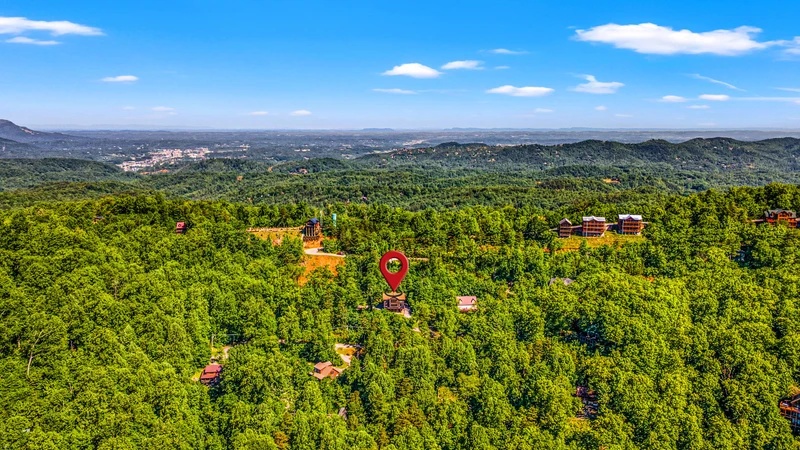 A Tree Top View
