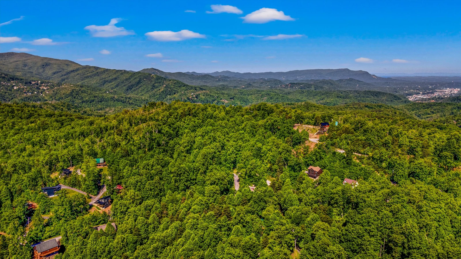 A Tree Top View