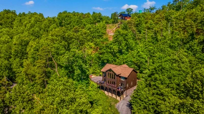 A Tree Top View