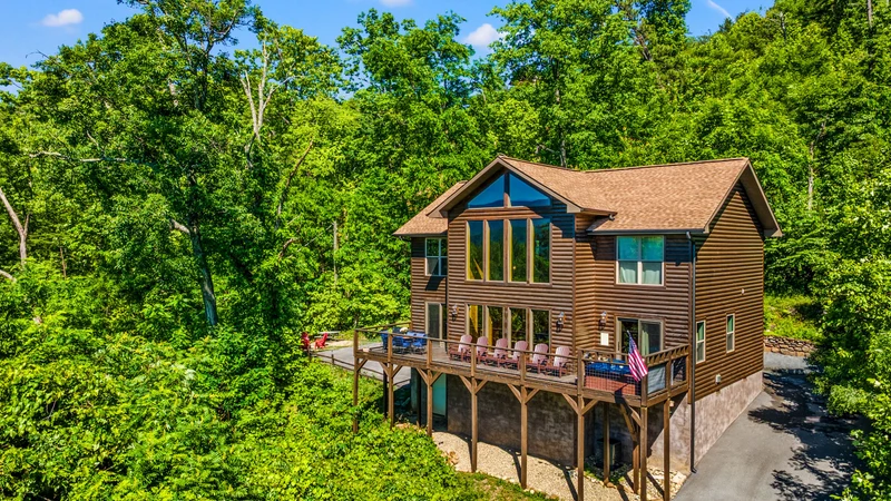 A Tree Top View