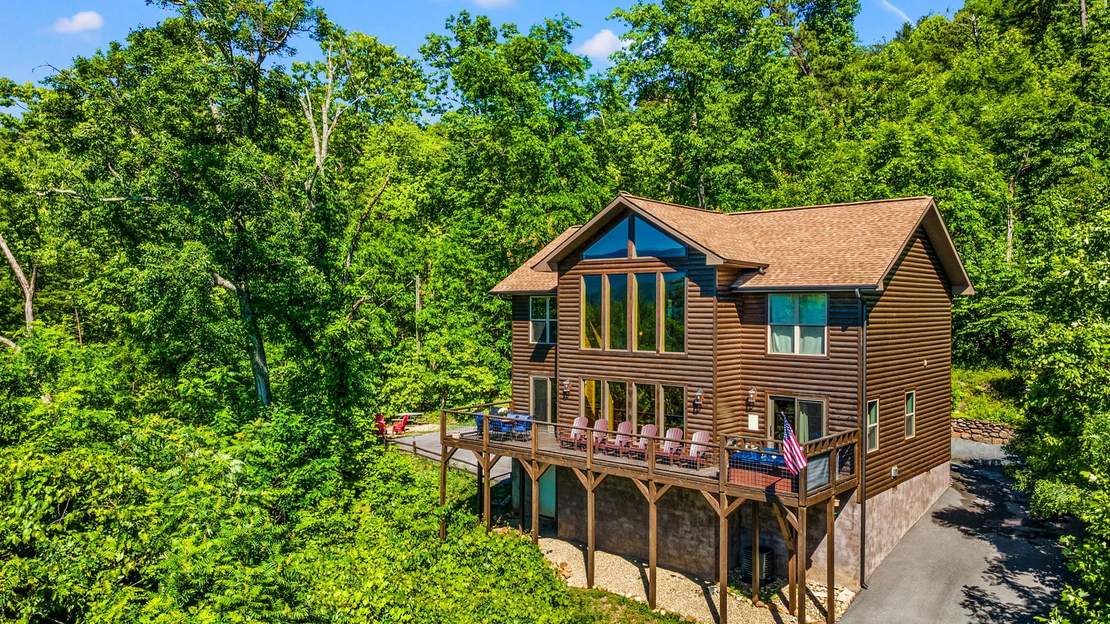 A Tree Top View