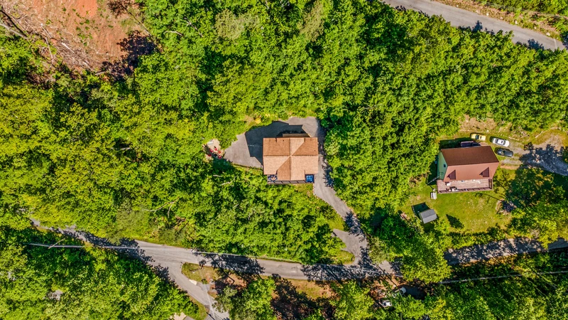 A Tree Top View