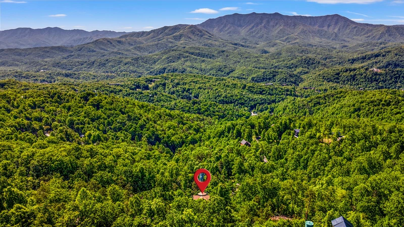 A Tree Top View