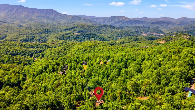 A Tree Top View