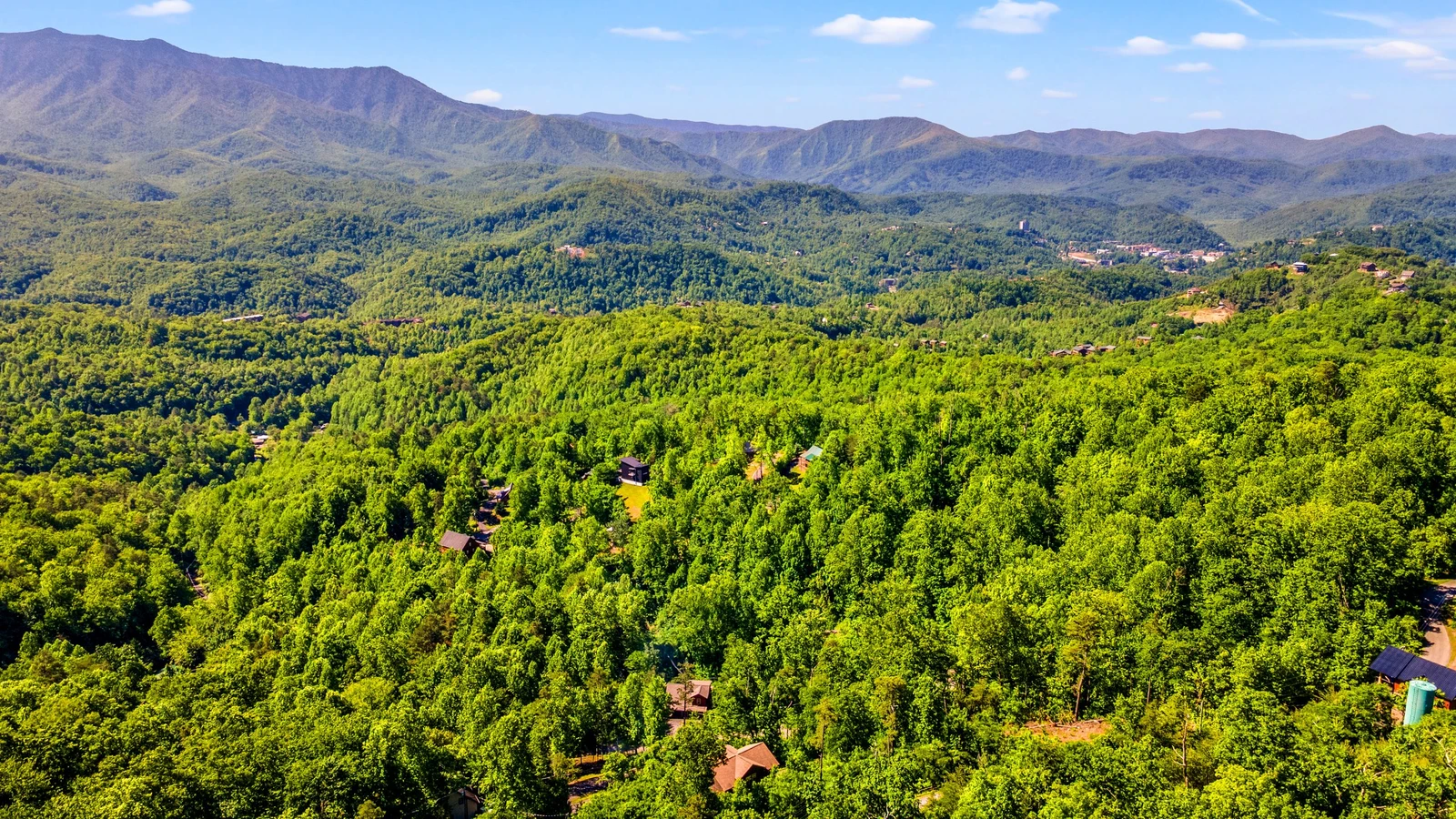 A Tree Top View