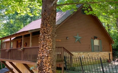 3 Bears Cabin