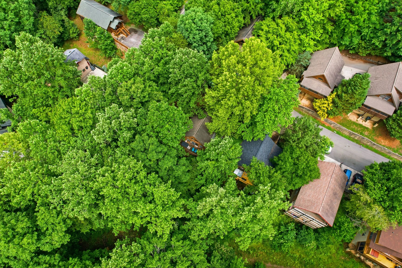 3 Bears Cabin