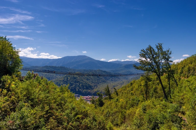 best Gatlinburg activities for adults