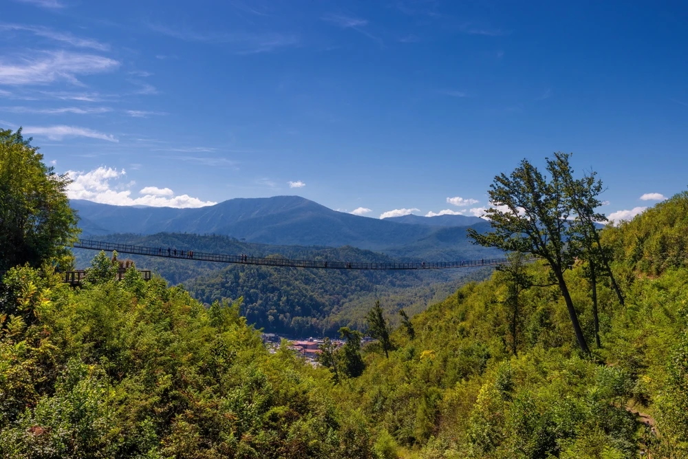 best Gatlinburg activities for adults