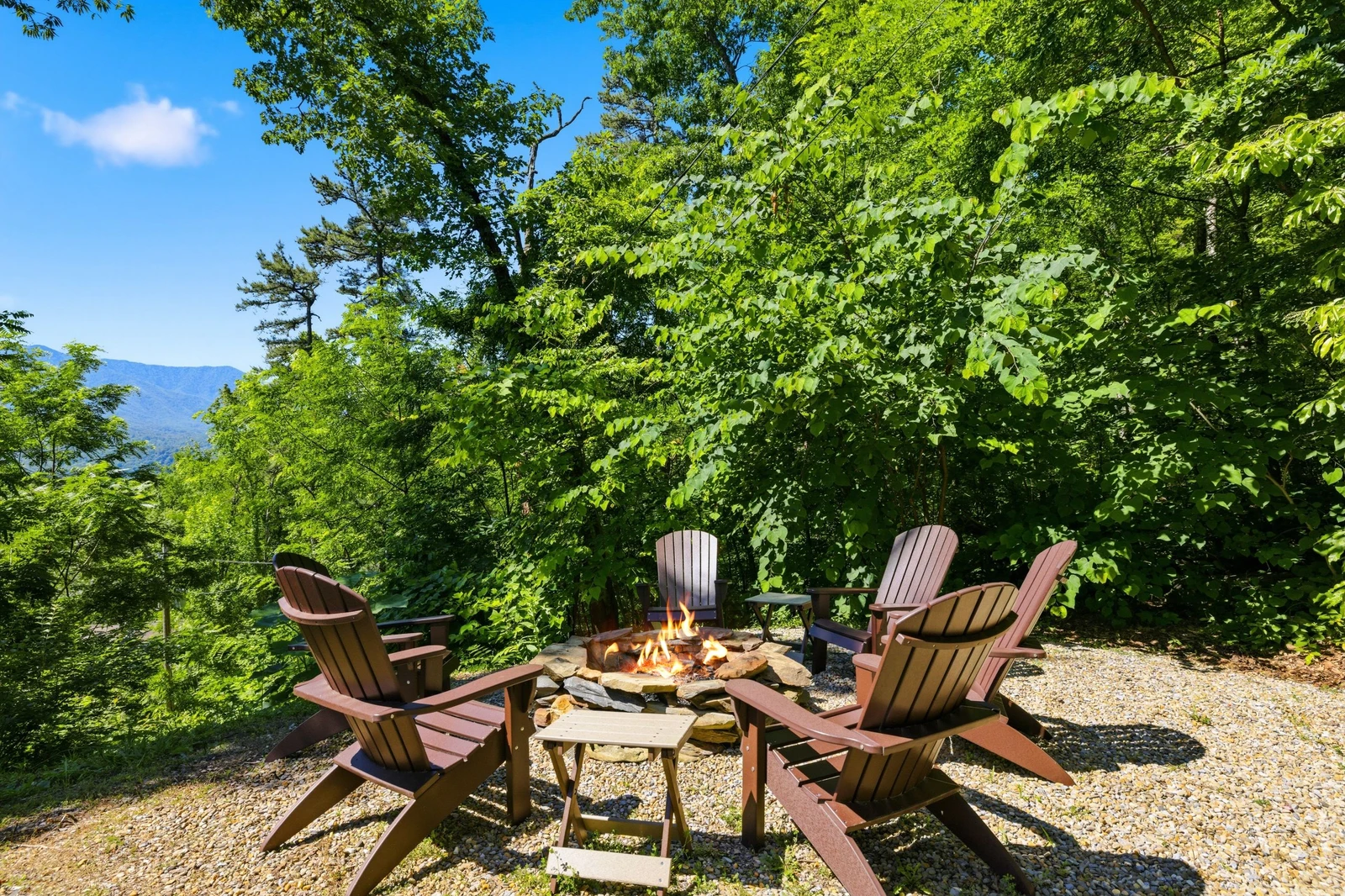 A Tree Top View