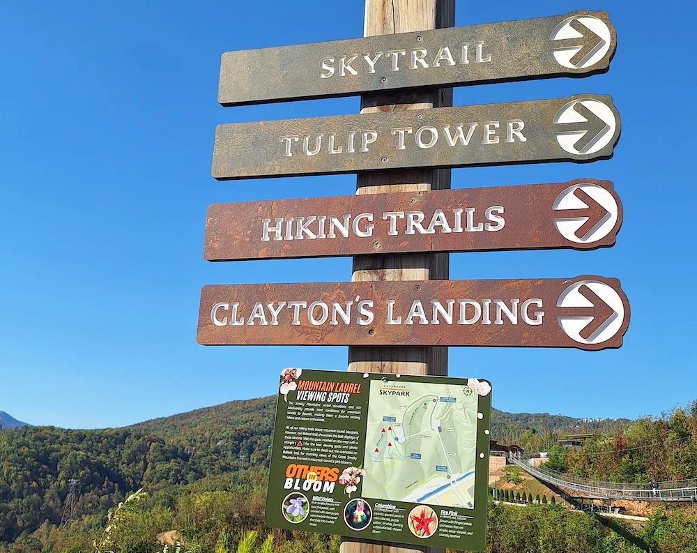 dog friendly gatlinburg skypark