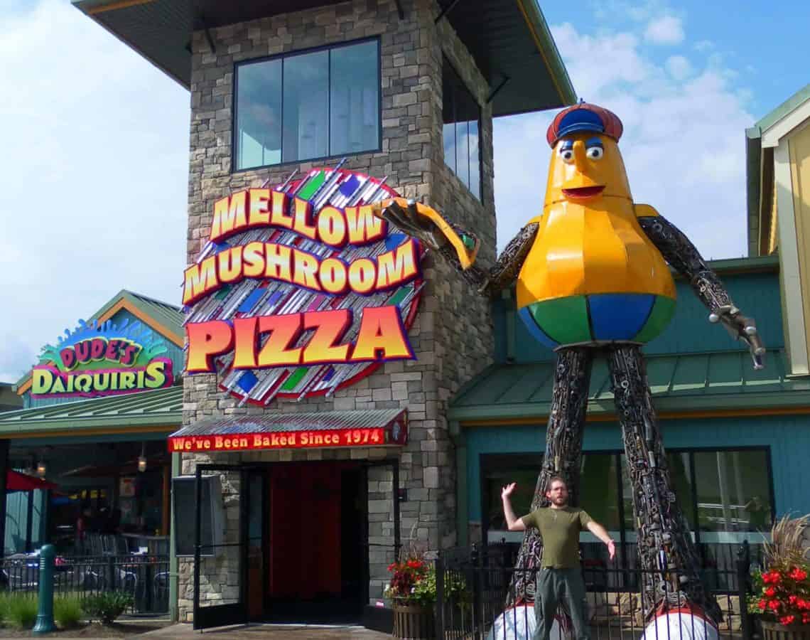 dude's daiquiris and mellow mushroom at the island in pigeon forge