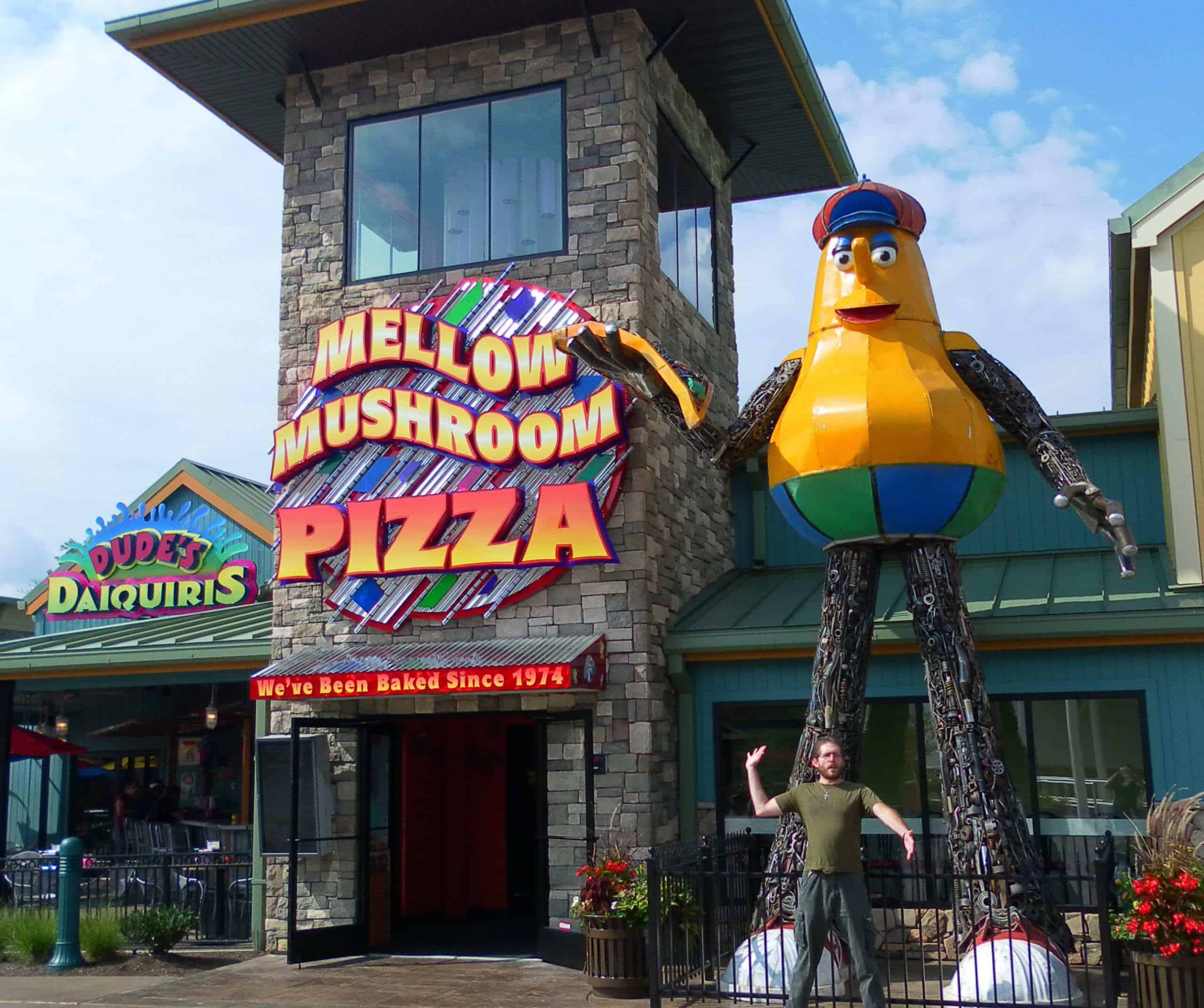 dude's daiquiris and mellow mushroom at the island in pigeon forge