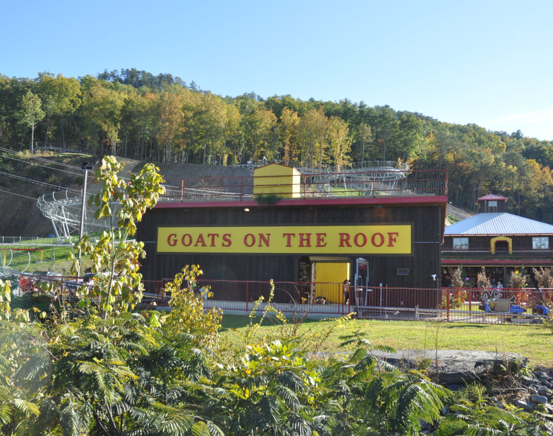 goats on the roof mountain coaster