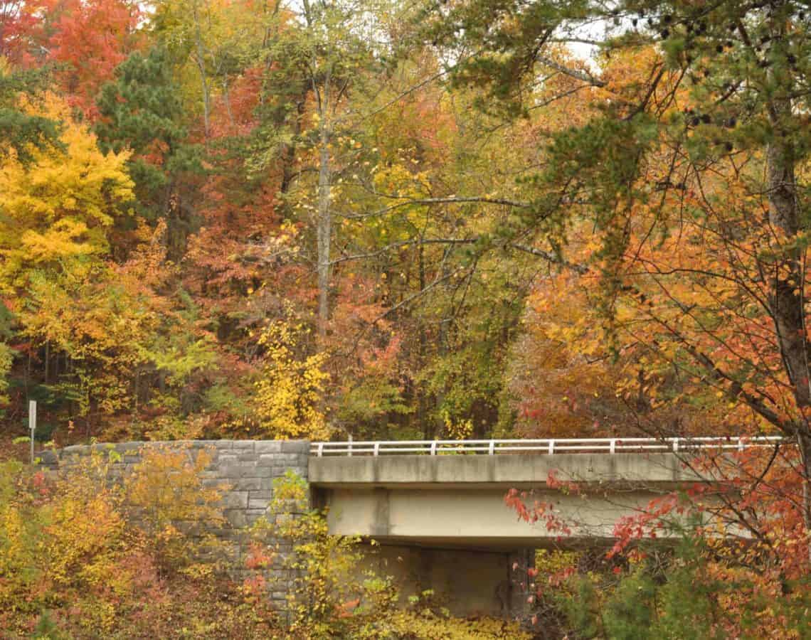 bridge in the smoky mountains with fall colors