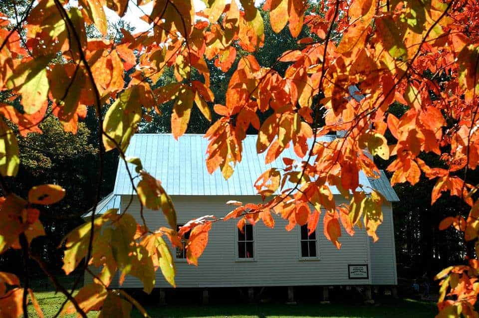 cades cove methodist church with fall leaves