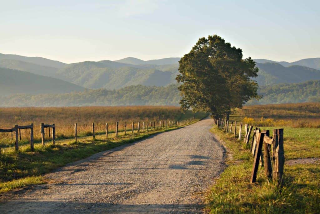 road cades cove with mountains in background